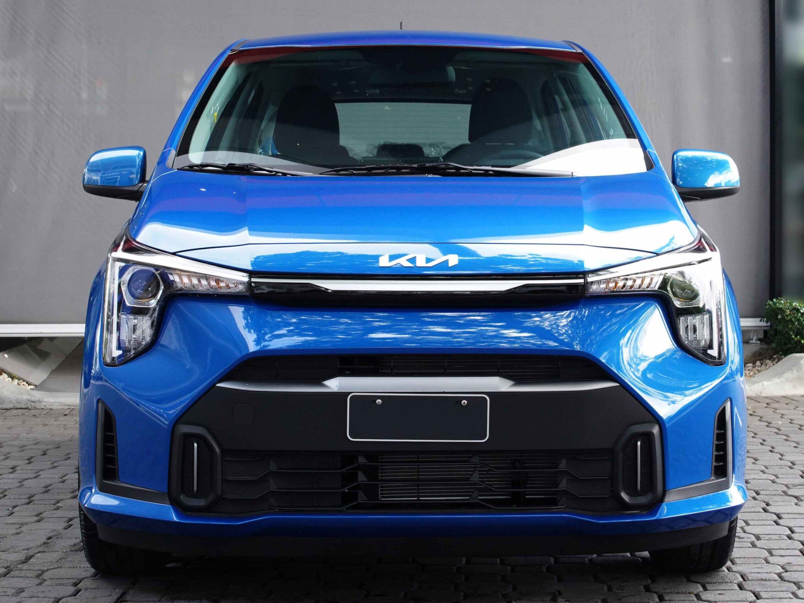 picanto_tamanca